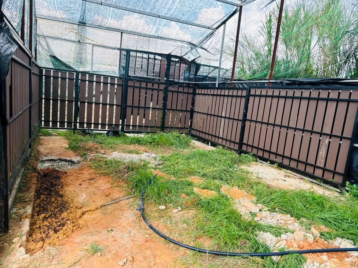 Bán 72m² đất Sổ NNPQ Phường 8 Quận 7, 890 triệu - Ảnh 1