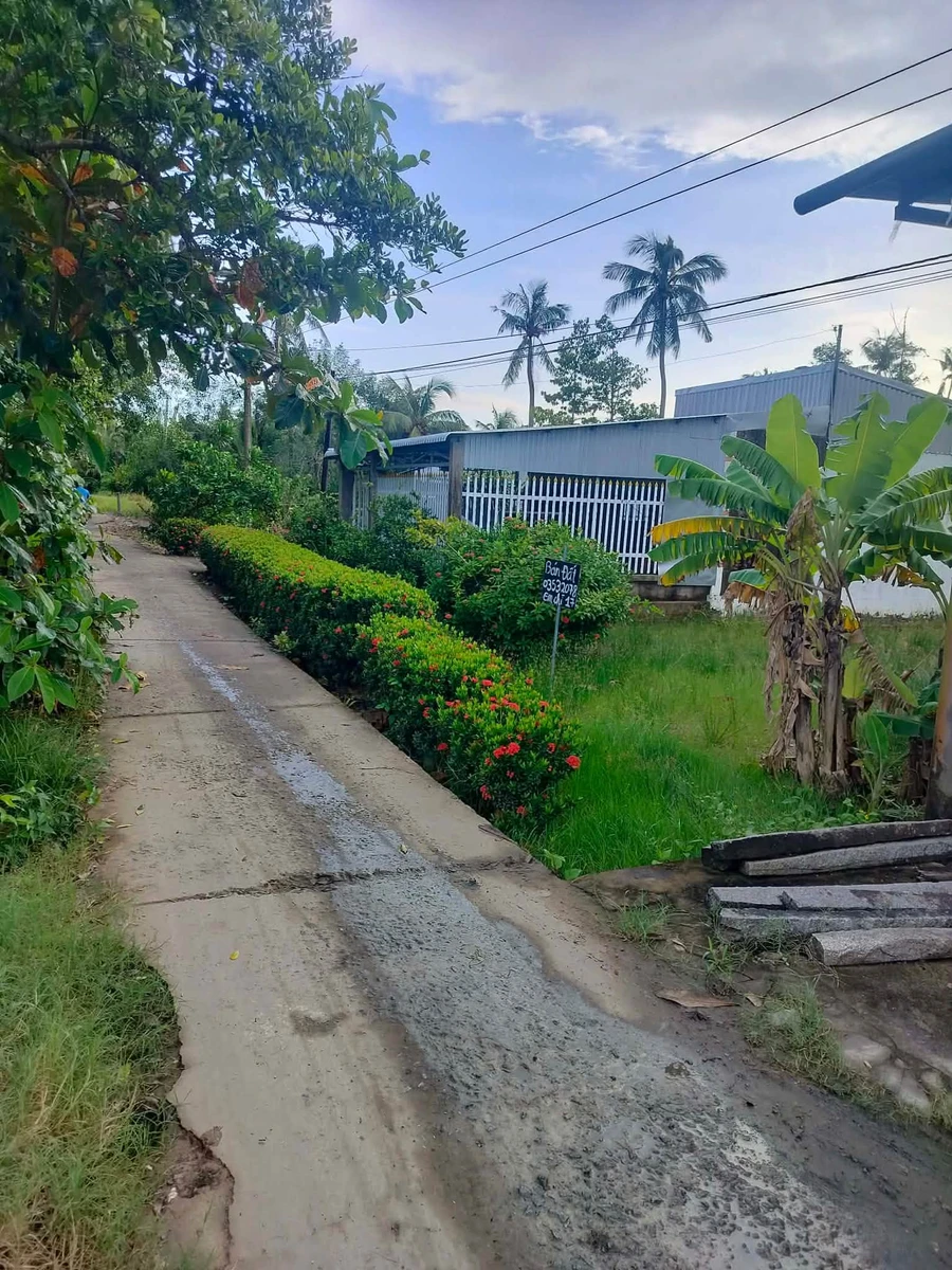 Bán nền đất ngang 8m dài 30m tại Kiên Giang 240m² - Ảnh thu nhỏ 4