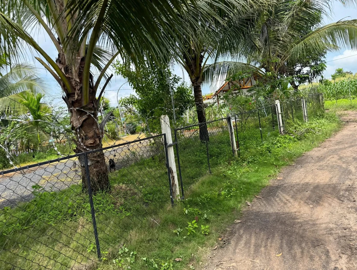 Bán đất nền 836m² view ruộng Tân Hòa, Buôn Đôn - Ảnh thu nhỏ 2