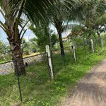 Bán đất nền 836m² view ruộng Tân Hòa, Buôn Đôn - Ảnh thu nhỏ 2