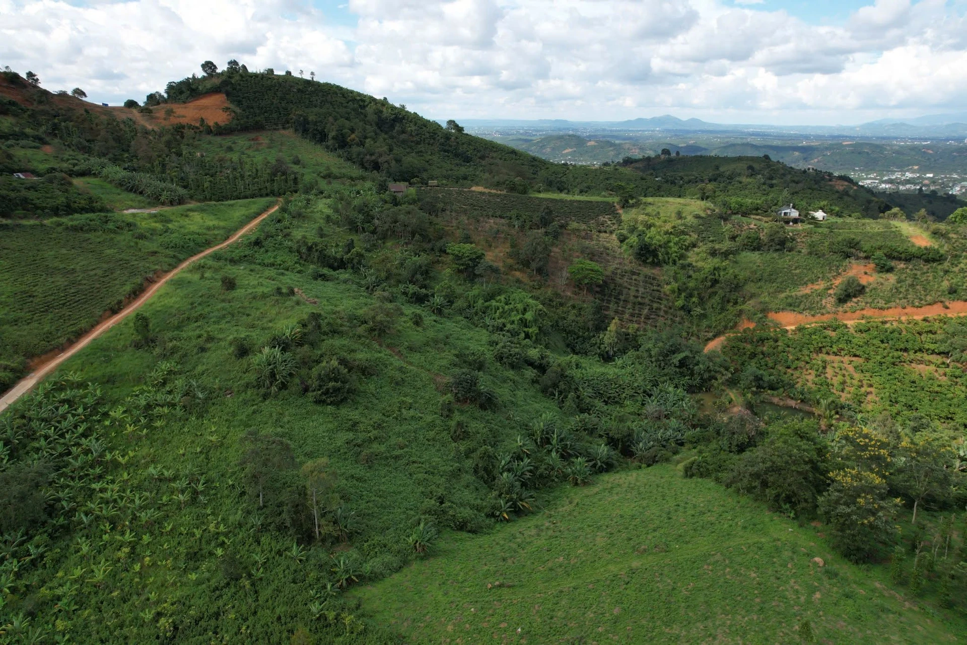 Bán đất 11.000m² (1,1ha) Lộc Thành Bảo Lộc 3,3 tỷ đồng - Ảnh 1