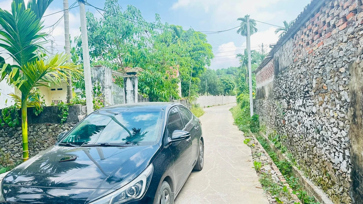 Bán đất nền 230m² tại Cao Dương, Phú Thọ - Ảnh thu nhỏ 4