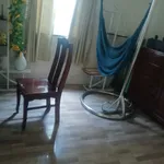 Bán nhà vườn cấp 4 mái Thái 3PN 2WC 1.100m² An Thạnh Thuận An - Ảnh thu nhỏ 3