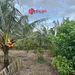 Bán đất vườn 2592m² Cà Mau 1 tỷ 890 triệu - Ảnh thu nhỏ 4
