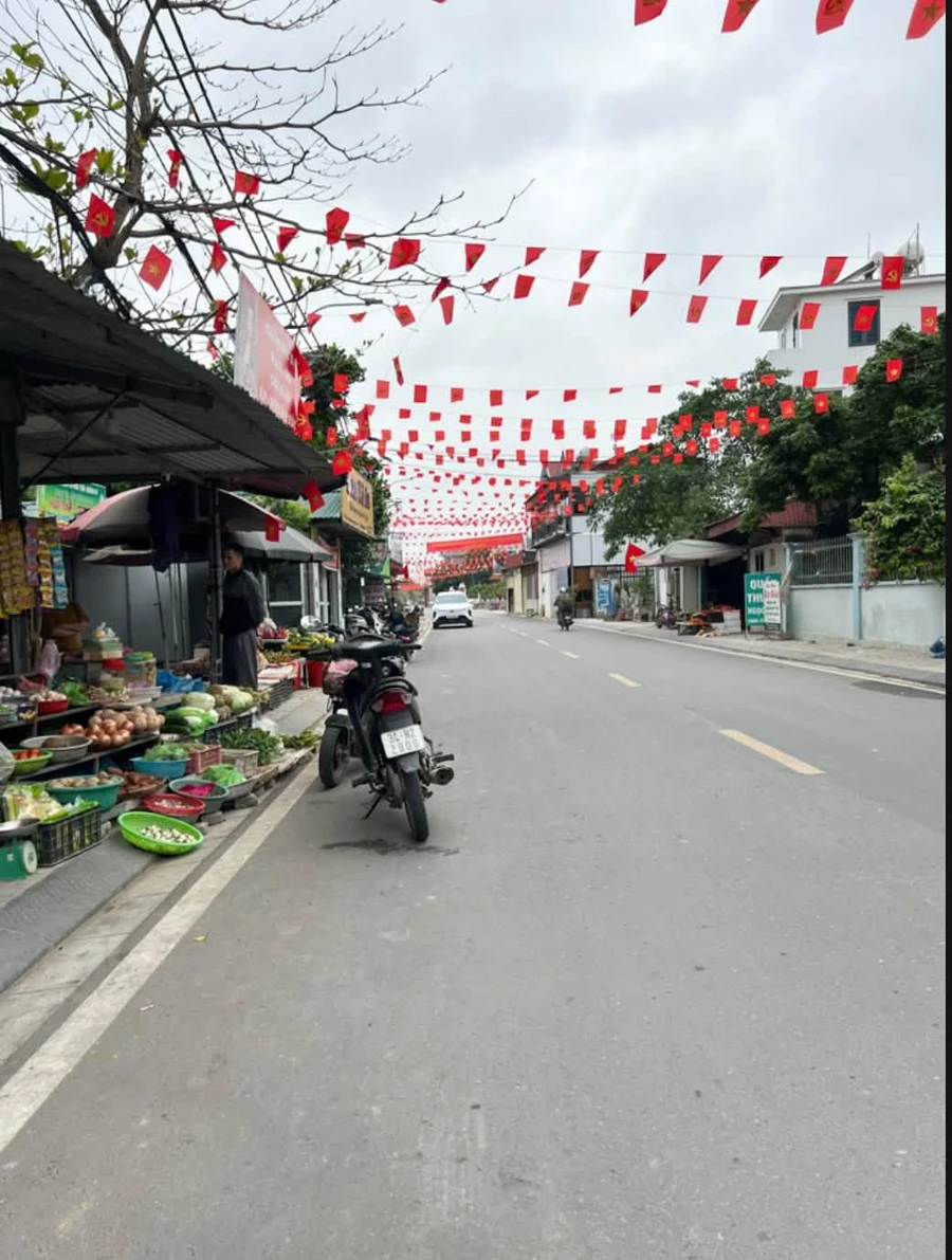 Bán đất nền 97.3m2 tại Xã Trường Tân, Gia Lộc, Hải Dương - Ảnh thu nhỏ 3