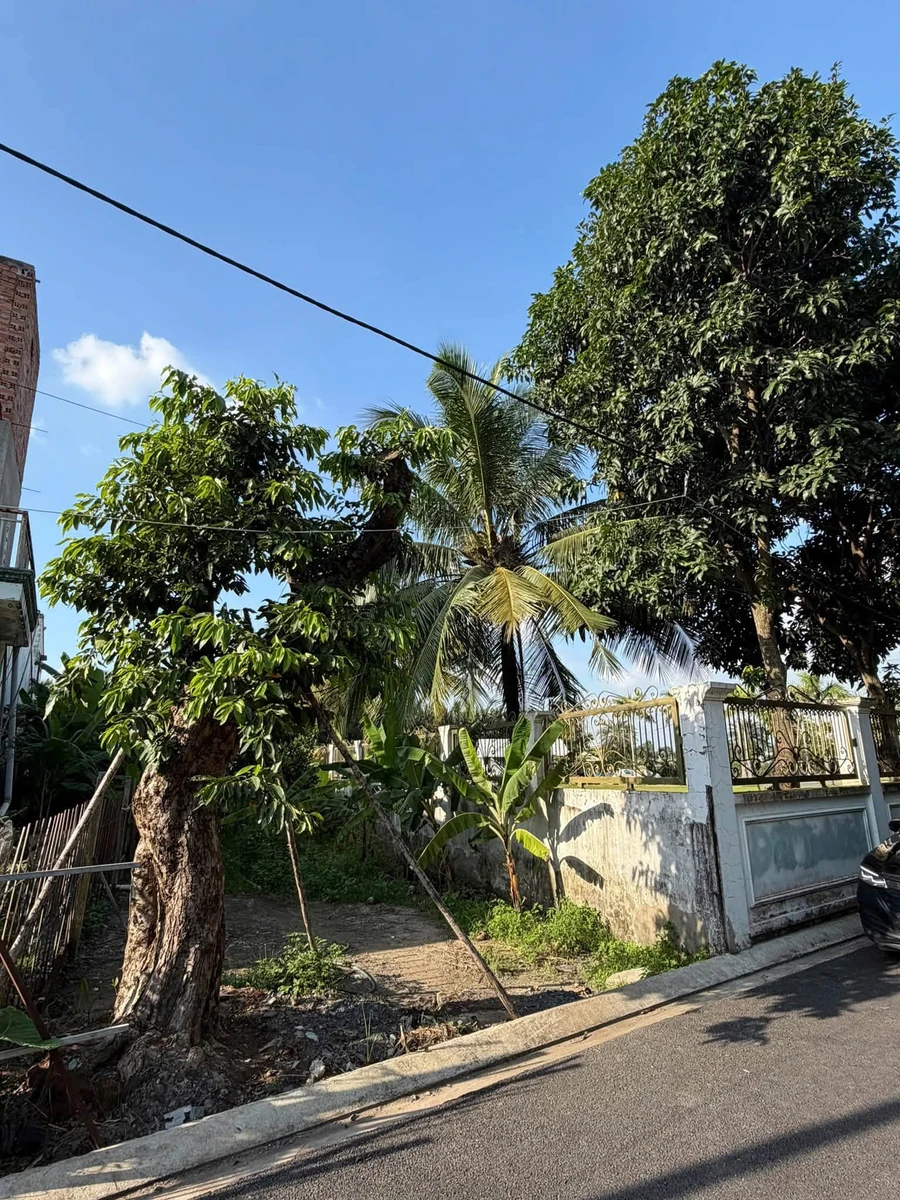 Bán đất mặt tiền đường 12 Tam Đa, Q.9, 220m2, 6.5 tỷ - Ảnh 1