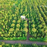 Bán đất nông nghiệp lô góc 2 mặt tiền 22x48m giá 690 triệu tại Buôn Bông, Ea Kao - Ảnh thu nhỏ 4
