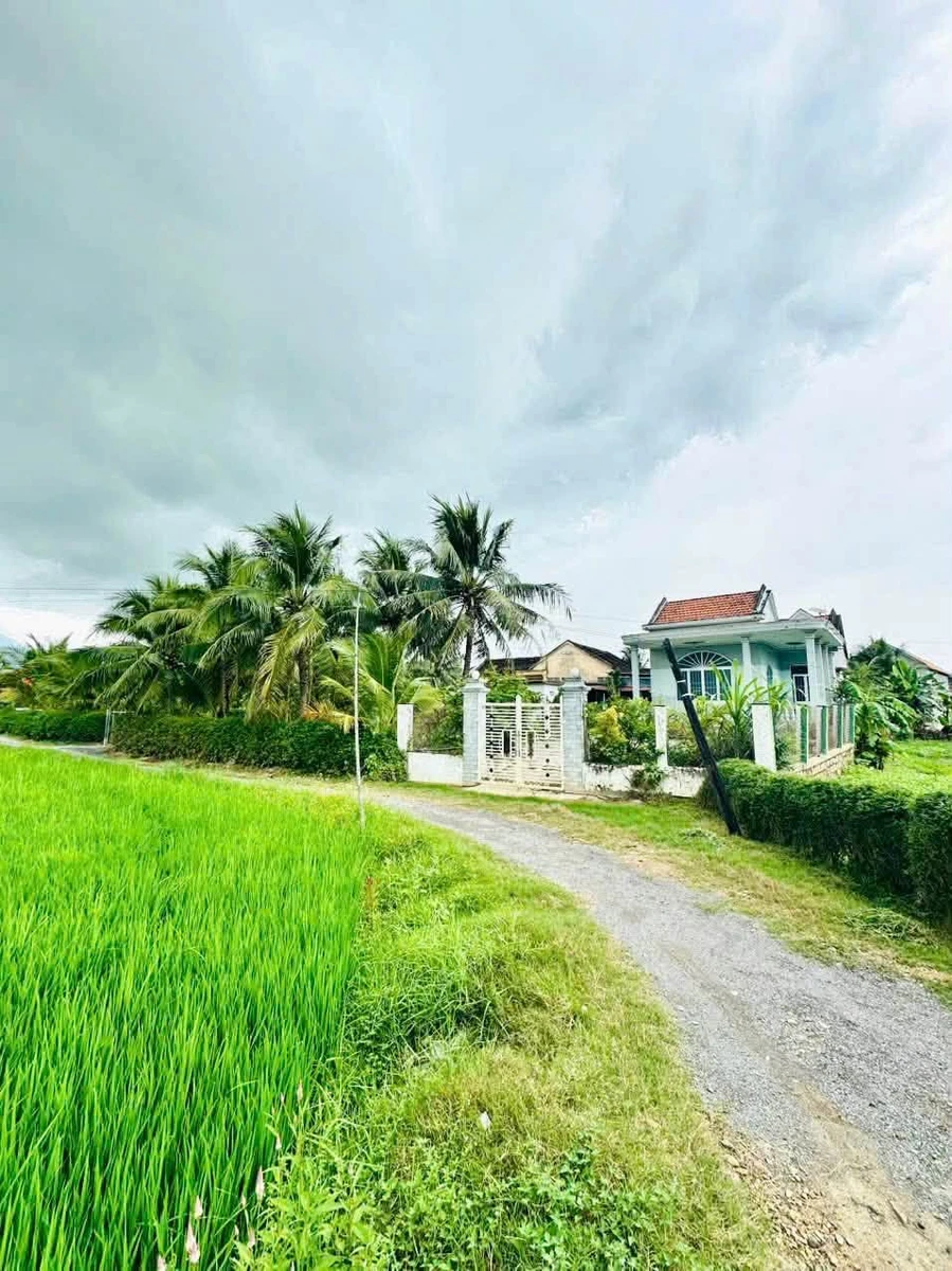 Bán nhà vườn 260m² Ninh Hưng Ninh Hoà 750 triệu - Ảnh thu nhỏ 2