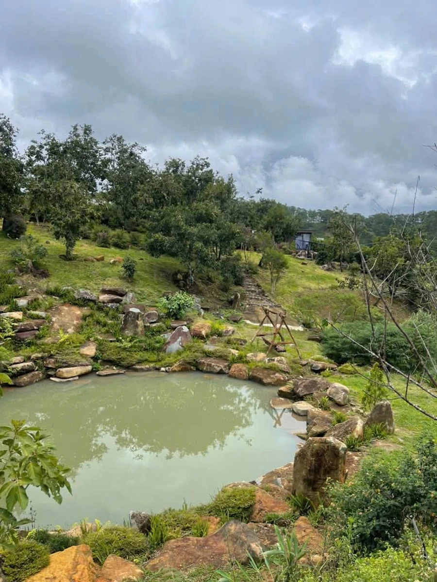Bán đất 8.000m² sát Khu du lịch Đồi Trà Cầu Đất, Đà Lạt – 20 tỷ - Ảnh thu nhỏ 2