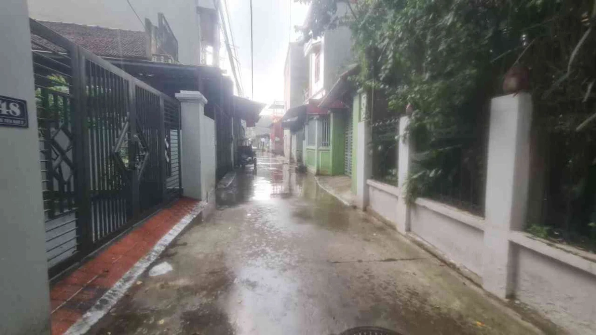 Bán đất nằm ngõ Tiến Bào 2, 45m2, 1.2 tỷ, Bình Chánh - Ảnh thu nhỏ 2