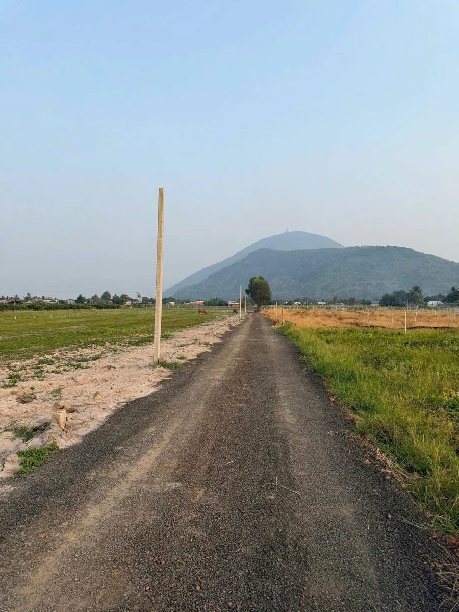 Bán đất Tây Ninh 150m2 210 triệu - Ảnh thu nhỏ 3