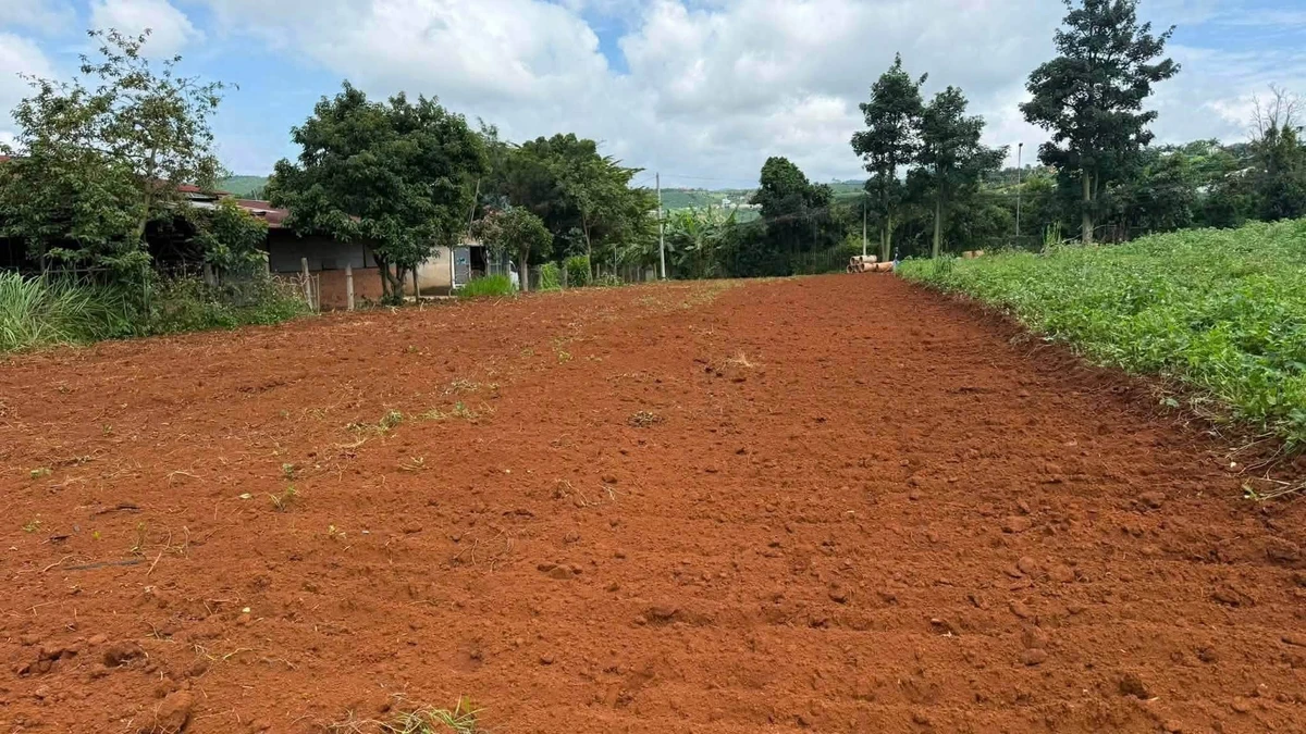 Bán đất mặt tiền đường 725 Tà Nung 1000m², Cam Ly, Nha Trang - Ảnh thu nhỏ 2