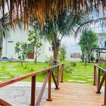 Bán vườn 1.600m² Hàm Chính Bình Thuận 1 tỷ 790 - Ảnh thu nhỏ 3