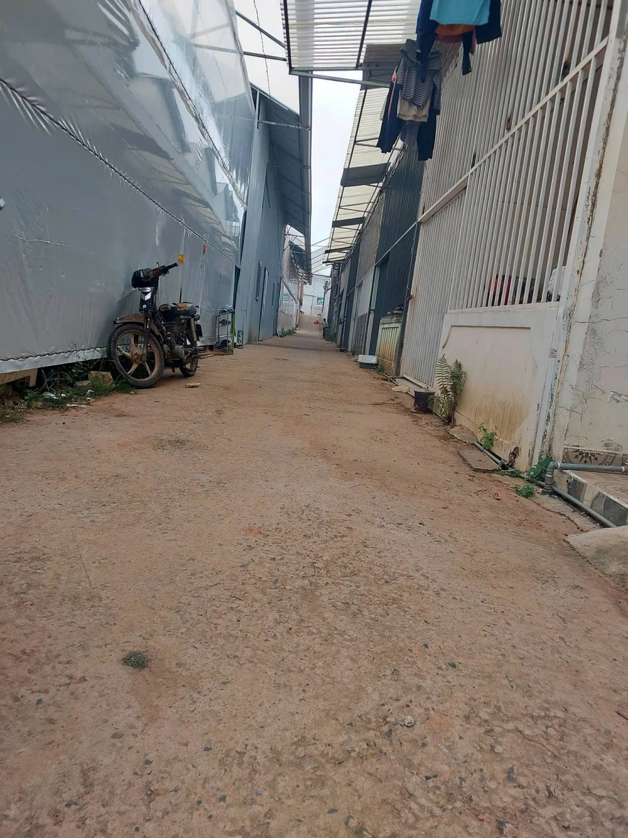 Bán đất hẻm ôtô Nguyên Từ Lực Đà Lạt 80m2 650 triệu - Ảnh thu nhỏ 3