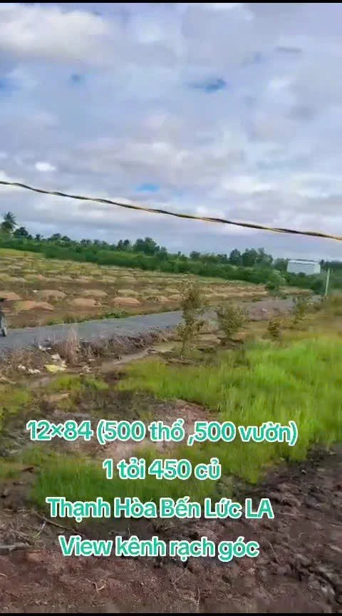 Bán đất thổ vườn Bến Lức Long An 1.000m² 1 tỷ 450 triệu - Ảnh 1