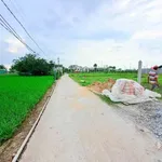 Bán đất xây nhà vườn 725m² Đức Tân Tân Trụ - Ảnh thu nhỏ 2