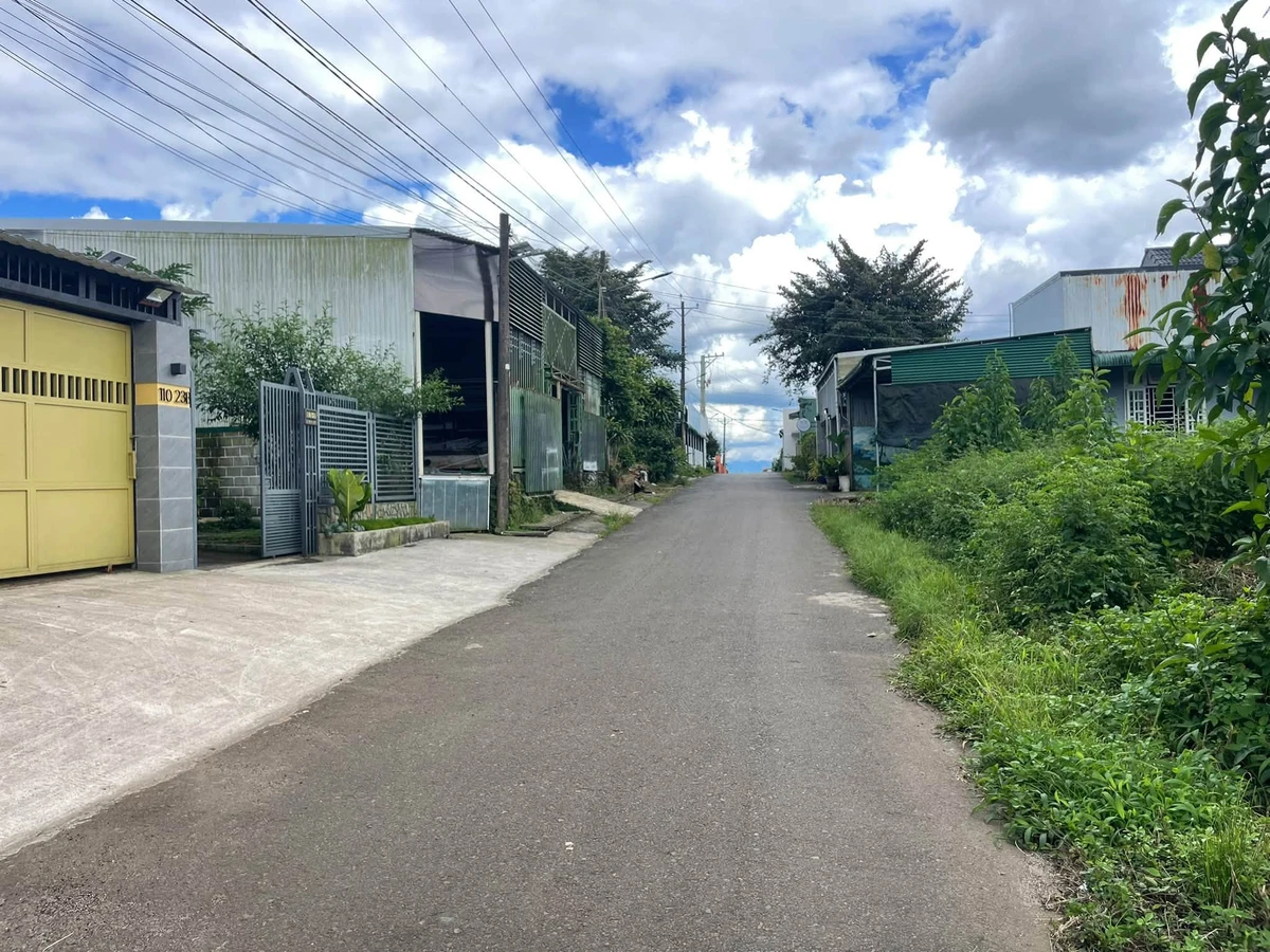 Bán đất 1.000m² nở hậu, có 225m² thổ cư, hẻm Lê Phụng Hiểu, Bảo Lộc - Ảnh thu nhỏ 3