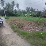 Bán đất 1000m² Tân Thành, Bến Tre, 1 tỷ - Ảnh thu nhỏ 2