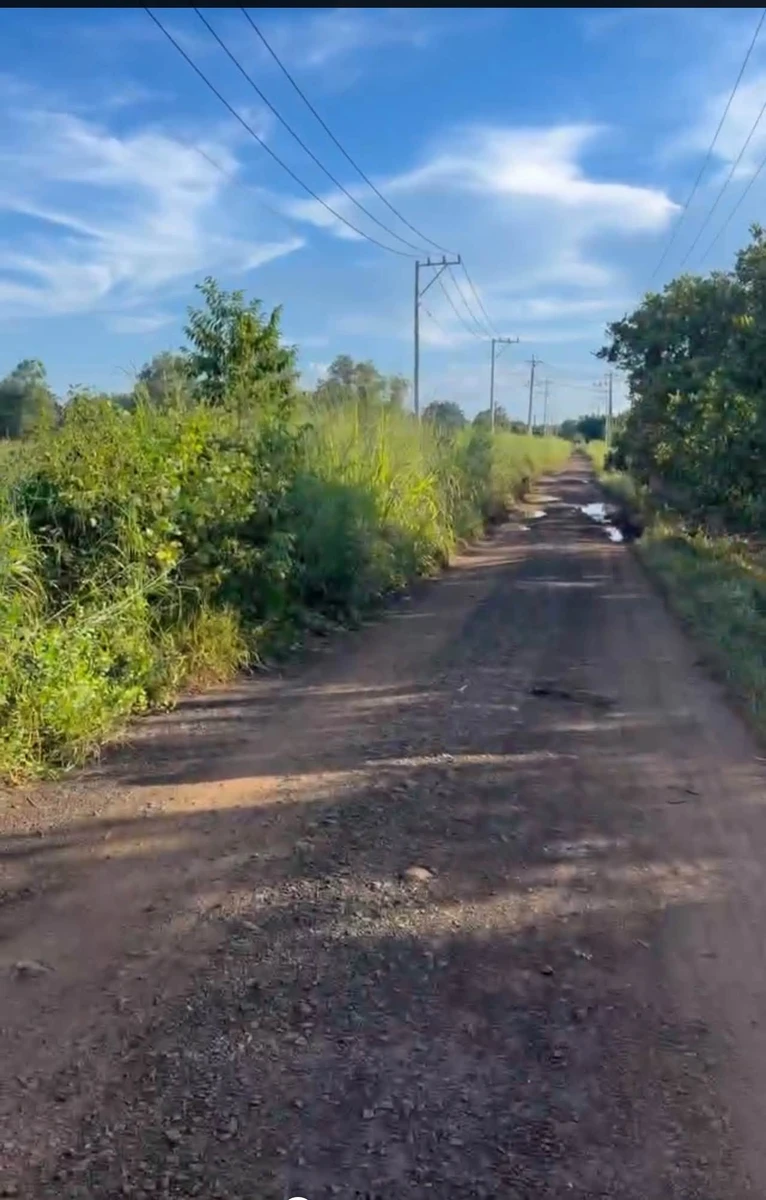 Bán đất 4000m2 mặt tiền 45m Tân Hưng Nhà Bè - Ảnh 1
