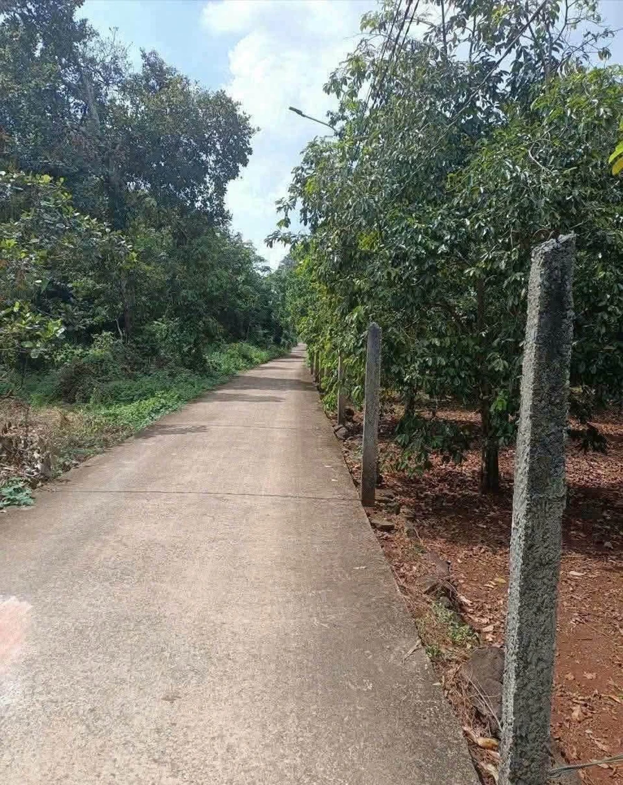 Bán đất Xã Kim Long 54000m² giá 2 tỷ - Ảnh thu nhỏ 2