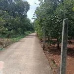 Bán đất Xã Kim Long 54000m² giá 2 tỷ - Ảnh thu nhỏ 2