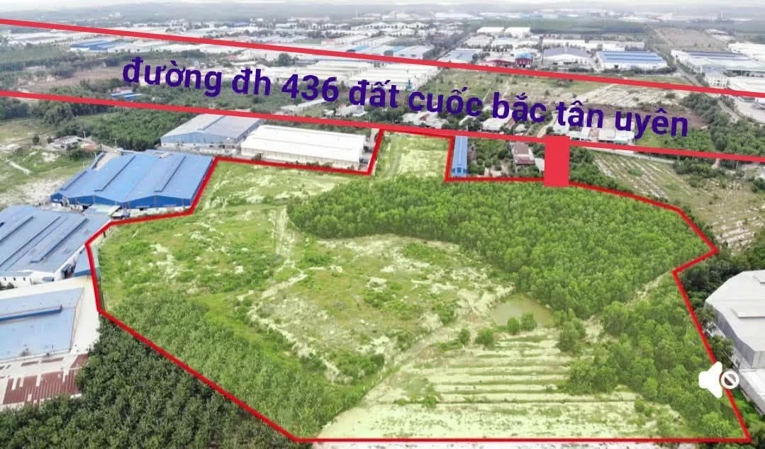 Bán lô đất 6.2 ha Bình Dương 168 tỷ - Ảnh 1