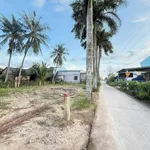 Bán đất thổ cư sổ hồng riêng 70m² Tân Trụ Long An - Ảnh thu nhỏ 2