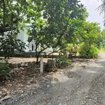 Bán đất 70m² tại Trường Hòa, Tây Ninh 250 triệu - Ảnh thu nhỏ 3