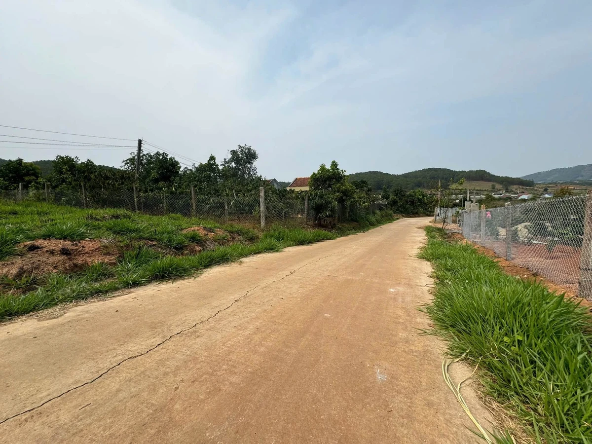 Bán đất 929m2 xã Nam Ban Lâm Hà 1.15 tỷ - Ảnh thu nhỏ 3