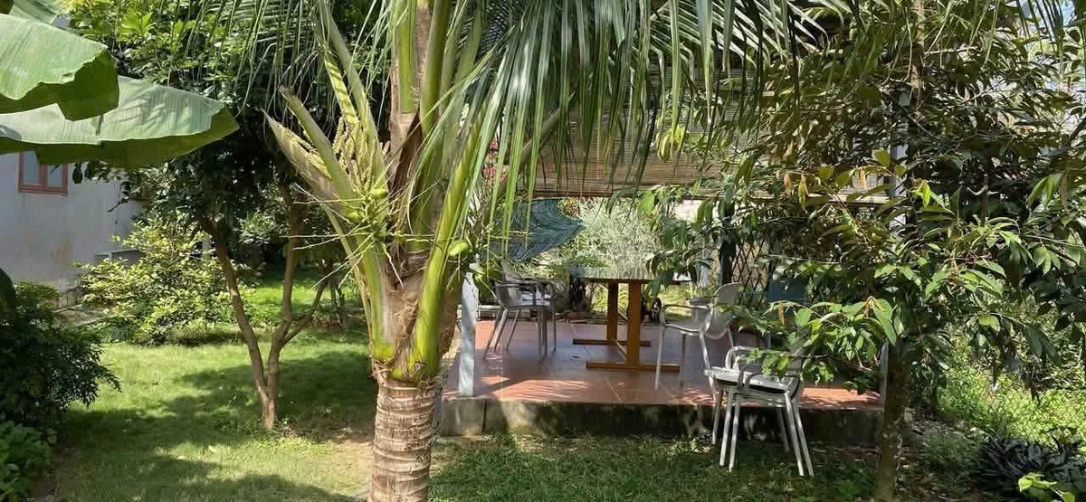 Cho thuê nhà sân vườn 300m2 đường 50 Hòa Long - Ảnh thu nhỏ 3