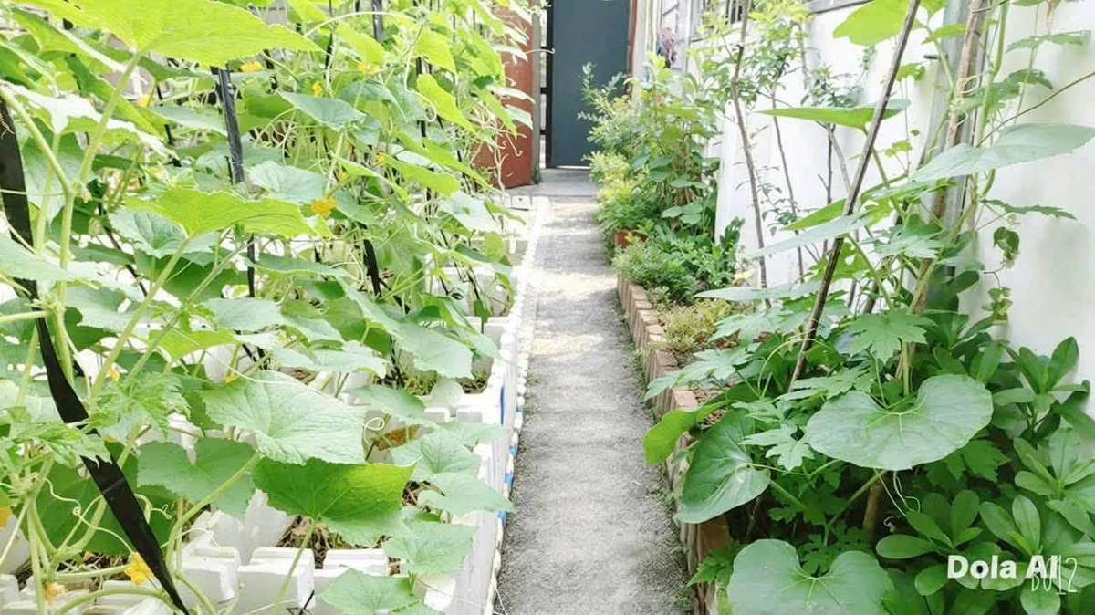 Bán nhà 1 trệt 2 lầu 73m2 Phường Tân Hiệp - Ảnh thu nhỏ 4
