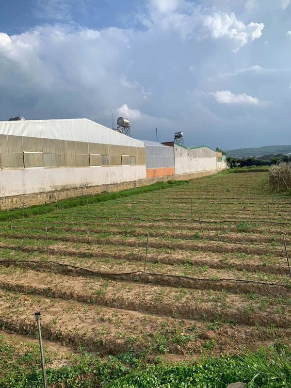 Bán đất nền Hiệp An Đà Lạt 194m2 giá 1 tỷ 450