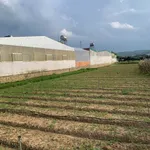 Bán đất nền Hiệp An Đà Lạt 194m2 giá 1 tỷ 450 - Ảnh thu nhỏ 1
