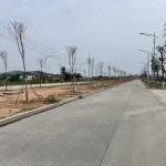 Diện tích đất: 5.000m2. Không gian rộng rãi, thông thoáng. Hạ tầng sẵn có, sạch đẹp. Bàn giao ngay - Ảnh thu nhỏ 6