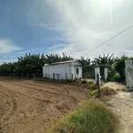 Bán 1552m2 đất vườn có nhà - Lương Cang, Đông Vinh - Phan Rang - 990tr bao sổ - Ảnh thu nhỏ 6