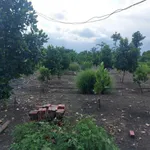 Bán 2000m2 đất có nhà Xuân Bảo, Đồng Nai, chỉ 1.5 tỷ - Ảnh thu nhỏ 5