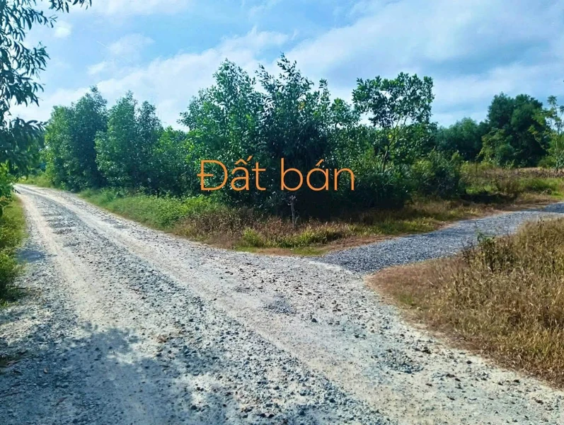Bán lô đất ở 211m2 sổ hồng riêng gần KCN Phong Điền, Huế giá 59 triệu