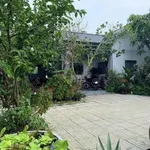 Bán nhà vườn Long An 900m² 2PN 1 tỷ 550 triệu - Ảnh thu nhỏ 2