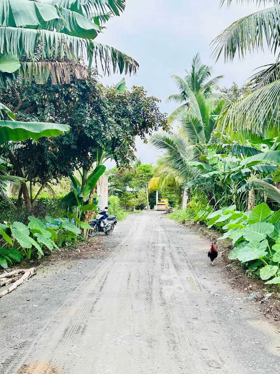Bán 5000m² đất nghỉ dưỡng Cần Thơ 3.2 tỷ - Ảnh 1