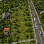 Đất mặt tiền Tỉnh lộ 997 Cần Giờ 390m2 giá 3 tỷ - Ảnh thu nhỏ 1