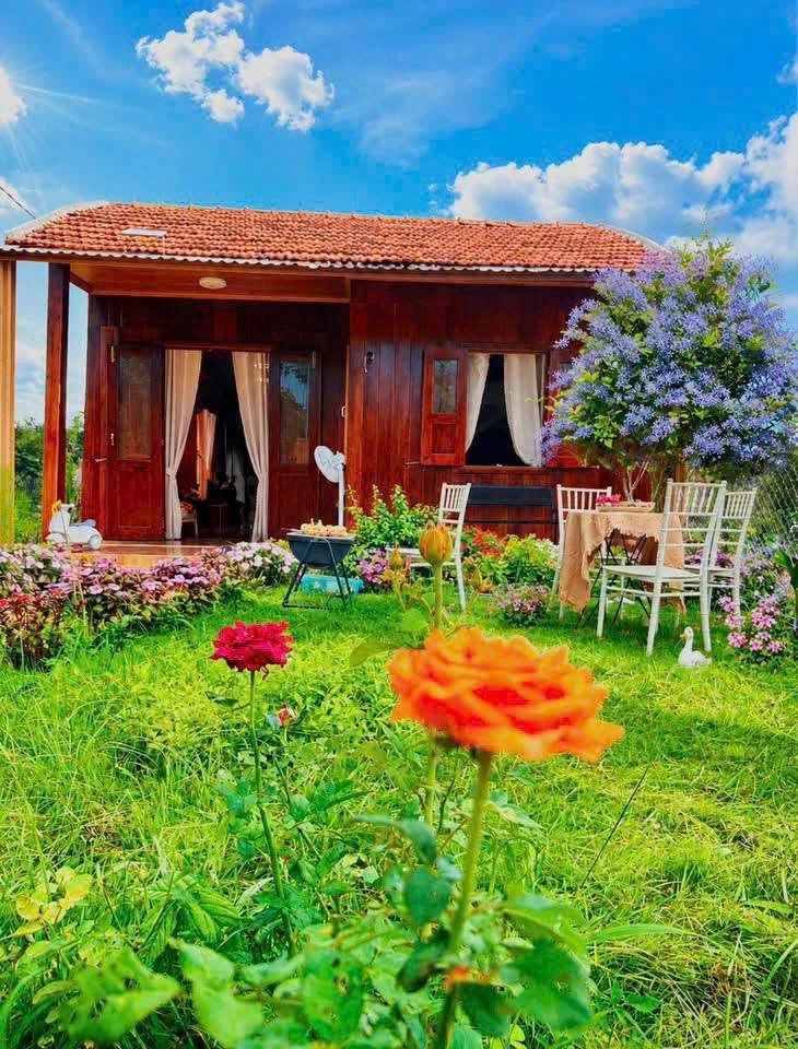 Bán nhà 2 phòng ngủ, 195m², Đắk Lắk, 999 triệu - Ảnh thu nhỏ 4