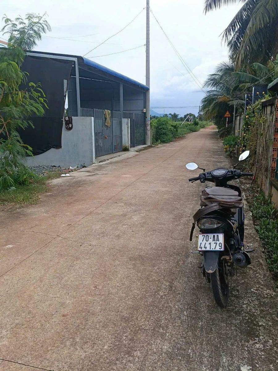 Bán đất 5x30m (150m2) thổ cư 15m2, đường bê tông, Tân Phú, Tây Ninh giá 230 triệu - Ảnh thu nhỏ 2