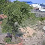 Bán đất 2500m² mặt tiền Quốc lộ 51, Long Thành - Ảnh thu nhỏ 3