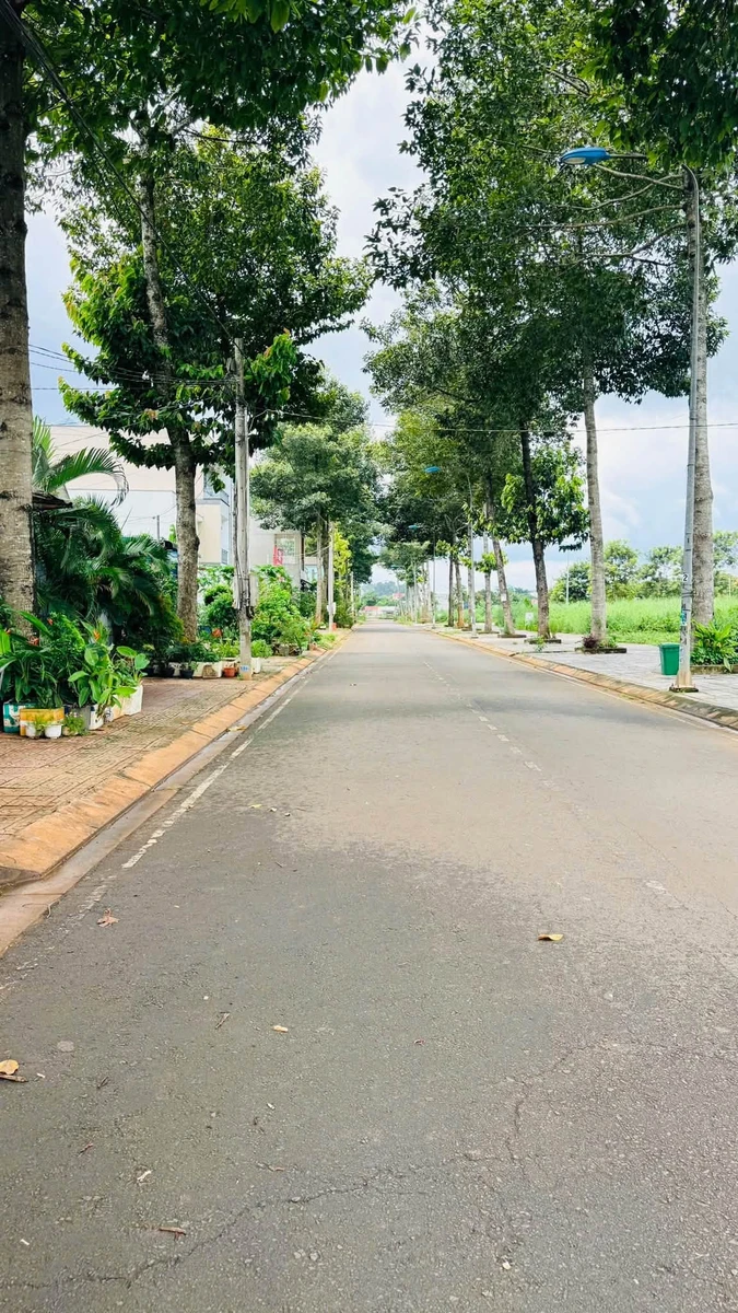 Bán nền có nhà 1PN, 115m2, khu tái định cư Long Khánh, 2.5 tỷ - Ảnh thu nhỏ 3