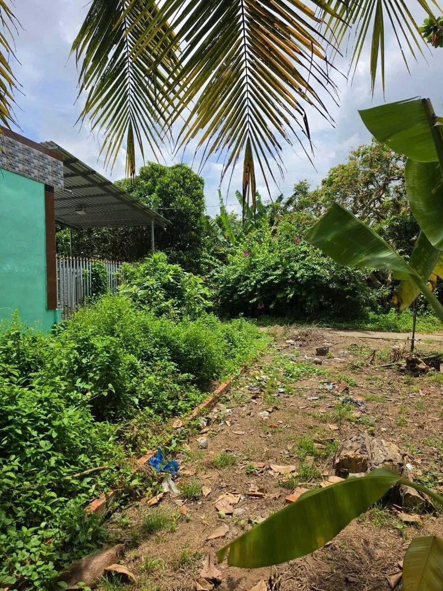 Bán đất nền Phú Hưng Bến Tre 132,8m² giá 450 triệu - Ảnh thu nhỏ 2