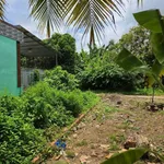 Bán đất nền Phú Hưng Bến Tre 132,8m² giá 450 triệu - Ảnh thu nhỏ 2
