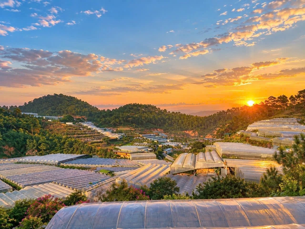 Bán đất Đà Lạt 1500m² Xuân Thành 1.7 tỷ - Ảnh 1
