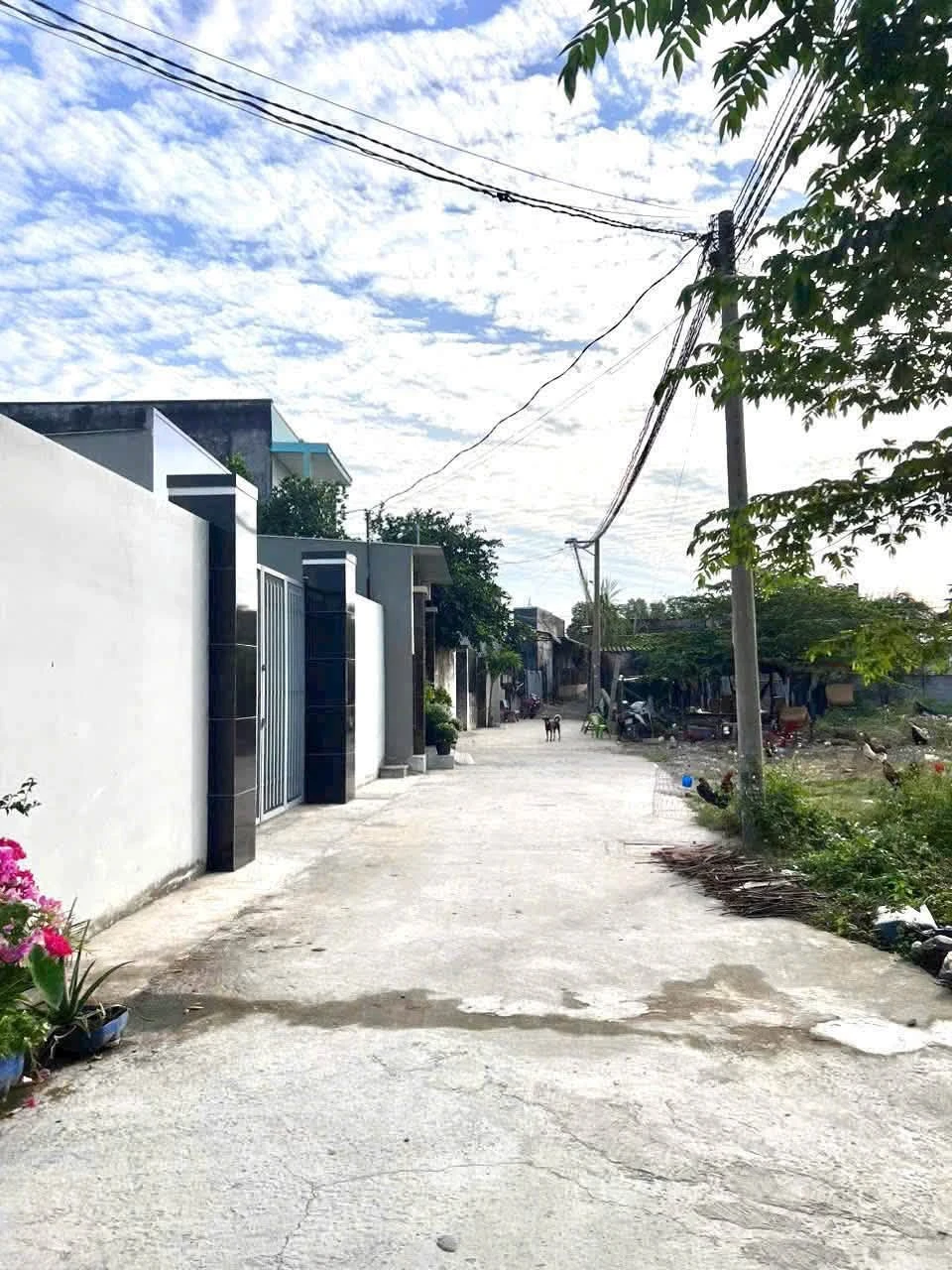 Bán nền đất gần Võ Văn Ngân Đức Hoà, Tây Ninh 81 m² - 950 triệu - Ảnh 1