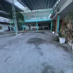Cho thuê nhà sân vườn mặt tiền Nguyễn Cơ Thạch, 897m², Nhà Bè - Ảnh thu nhỏ 5