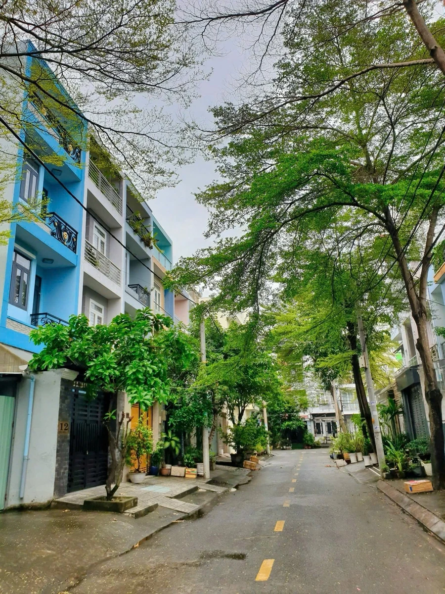 Bán nhà 4 tầng 4x20m (80m²) đường nhựa 8m gần KDC Phú Lợi, Phạm Thế Hiển, Quận 8 - Ảnh thu nhỏ 4